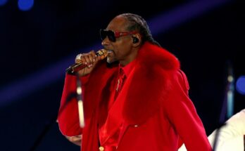 Snoop Dogg encabeza el anuncio de entretenimiento navideño de la NFL de Netflix: Ver