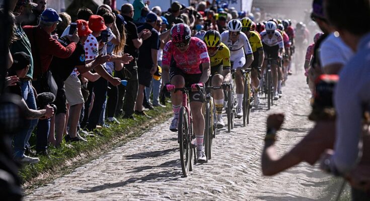The pack of riders cycles on pavement during the fifth edition of the Paris-Roubaix women's race, 148,5 km between Denain and Roubaix, northern France on April 12, 2025. (Photo by JULIEN DE ROSA / AFP)