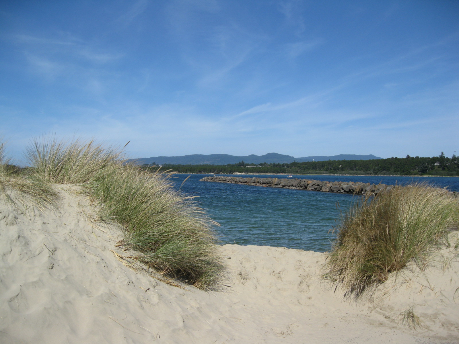 Fotografía panorámica de paisaje de gran angular de dunas de arena en el Área Recreativa Nacional de las Dunas de Oregón. El primer plano consta de dunas de arena pálida con matas de hierba verde de playa. En el centro, el tranquilo canal azul está dividido por un largo y recto embarcadero de roca. El fondo muestra una densa línea de bosque verde y onduladas colinas de color gris azulado bajo un cielo azul claro y brillante con nubes ligeras y tenues.