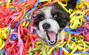 ¿Qué razas de perros se ven felices? La ciencia tiene la respuesta.