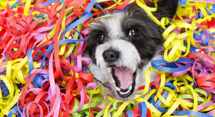 ¿Qué razas de perros se ven felices? La ciencia tiene la respuesta.