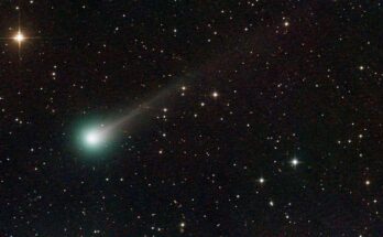 A photo of Comet Lemmon with a green glow around its nucleus and a long glowing white tail