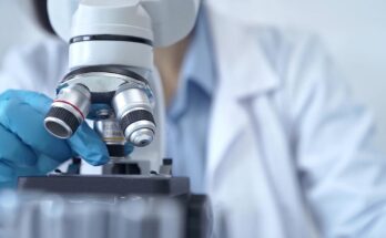 Revisión y contribución: ciencia del diseñador