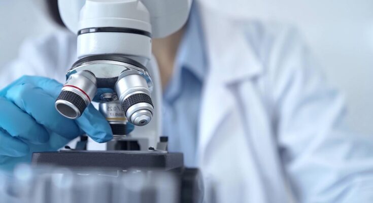 Revisión y contribución: ciencia del diseñador
