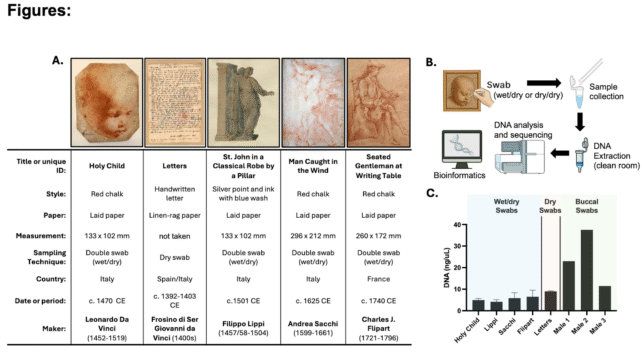 Comparación del ADN de Da Vinci