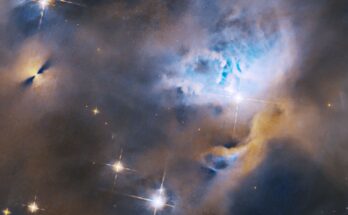 El Hubble detecta una colección de objetos estelares jóvenes