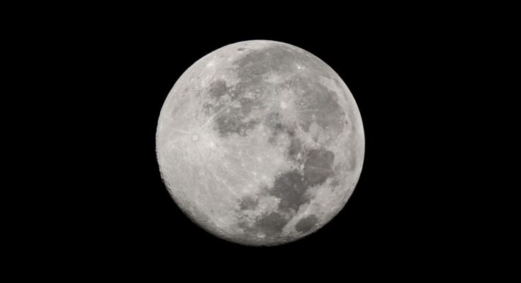 Many things that went to the moon are up for auction at the American Space Museum in Titusville. (Spectrum News file photo/Anthony Leone)