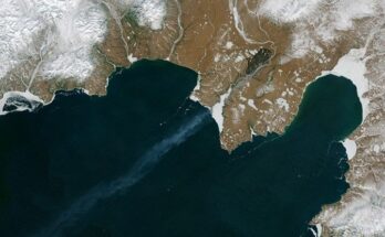 Fuego sobre hielo: el cambiante régimen de incendios del Ártico