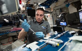NASA Spaceline Current Awareness List #1,181 31 December 2025 (Space Life Science Research Results)