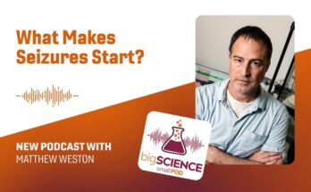 Podcast 'Gran ciencia, pequeña cápsula': ¿Qué causa las convulsiones? | Noticias tecnológicas de Virginia