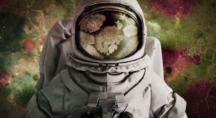 Se descubre una bacteria previamente desconocida en las salas blancas de la NASA