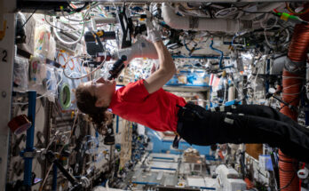 A woman conducts a research experiment aboard the International Space Station.