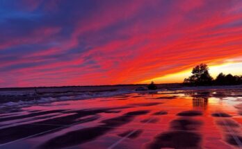 ¿Qué crea esos hermosos colores en los atardeceres de Maine?